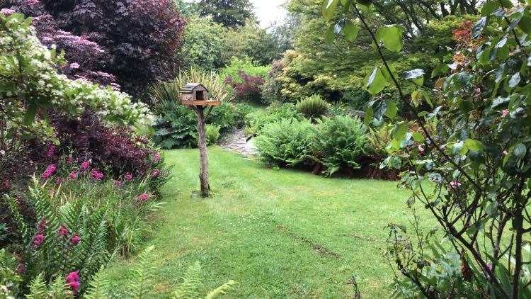 Hartree Guest House Newton Abbot Exteriör bild